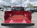 2025 Ford F-150 SuperCrew Cab 4x4 Pickup for sale #25339 - photo 11