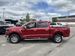 2025 Ford F-150 SuperCrew Cab 4x4 Pickup for sale #25339 - photo 6