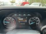 New 2025 Ford F-250 XL Crew Cab 4x4 Pickup for sale #25360 - photo 21