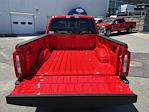 2025 Ford F-350 Crew Cab SRW 4x4 Pickup for sale #25366 - photo 11