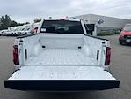 2025 Ford F-150 SuperCrew Cab 4WD Pickup for sale #25468 - photo 11