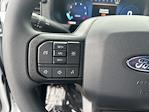 2025 Ford F-150 SuperCrew Cab 4WD Pickup for sale #25468 - photo 20