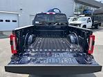2025 Ford F-250 Crew Cab 4x4 Pickup for sale #25505 - photo 11