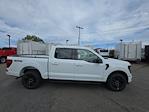 2025 Ford F-150 SuperCrew Cab 4WD Pickup for sale #25584 - photo 3