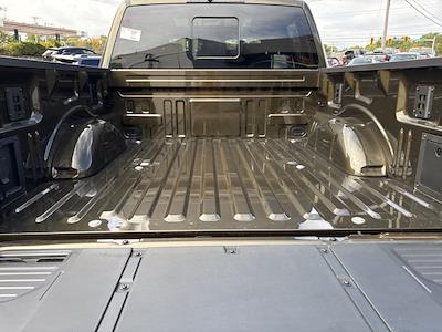 New 2025 Ford F-150 - photo 1