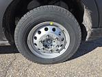 New 2026 Ford Transit 250 Low Roof Empty Cargo Van for sale #26112 - photo 36