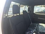 New 2026 Ford F-150 XLT SuperCrew Cab for sale #26192 - photo 33