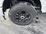 New 2026 Ford F-250 Regular Cab for sale #26251 - photo 9
