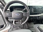 2023 Ford F-250 Crew Cab 4WD Pickup for sale #15872 - photo 11