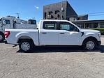 2022 Ford F-150 SuperCrew Cab RWD Pickup for sale #16148 - photo 6