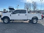 2017 Ford F-250 Crew Cab 4WD Pickup for sale #16305 - photo 3