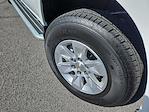 2024 Chevrolet Silverado 1500 Regular Cab RWD Pickup for sale #51105 - photo 20