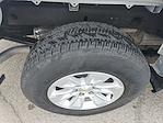 2024 Chevrolet Silverado 1500 Regular Cab RWD Pickup for sale #51107 - photo 20