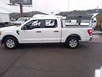 2021 Ford F-150 SuperCrew Cab RWD Pickup for sale #51188 - photo 10