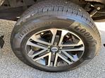 Used 2023 Ford F-150 XL SuperCrew Cab Pickup for sale #F62534D - photo 12