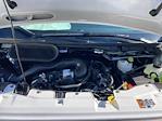 2024 Ford Transit 250 Low Roof RWD Empty Cargo Van for sale #F62557 - photo 19