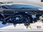 2024 Ford Transit 250 Low Roof RWD Empty Cargo Van for sale #F62570 - photo 18
