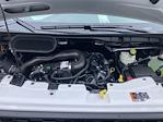 2024 Ford Transit 250 Medium Roof RWD Empty Cargo Van for sale #F62592 - photo 19