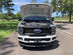 2024 Ford F-250 Crew Cab 4x4 Pickup for sale #F62864D - photo 19