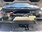 2021 Ford F-150 SuperCrew Cab 4x4 Pickup for sale #F63345D - photo 19