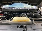 2022 Ford F-150 SuperCrew Cab 4x4 Pickup for sale #F63425D - photo 19