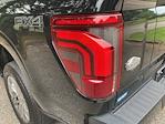 2024 Ford F-150 SuperCrew Cab 4WD Pickup for sale #F63727D - photo 13