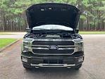 2024 Ford F-150 SuperCrew Cab 4WD Pickup for sale #F63727D - photo 20