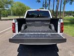 2025 Ford F-150 SuperCrew Cab 4x2 Pickup for sale #F63735 - photo 18