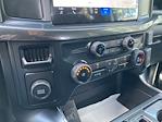 2025 Ford F-150 SuperCrew Cab 4x2 Pickup for sale #F63735 - photo 31