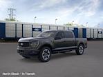 2025 Ford F-150 SuperCrew Cab 4x2 Pickup for sale #F63740 - photo 3