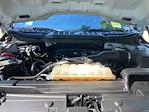 2022 Ford F-150 Super Cab 4x2 Pickup for sale #F63743D - photo 19