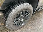 2025 Chevrolet Silverado 1500 Crew Cab 4WD Pickup for sale #F64100D - photo 14