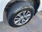 2020 Chevrolet Silverado 1500 Crew Cab 4WD Pickup for sale #F63884D - photo 16
