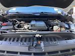 2020 Chevrolet Silverado 1500 Crew Cab 4WD Pickup for sale #F63884D - photo 20