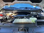 2021 Ford F-150 SuperCrew Cab RWD Pickup for sale #F64024DD - photo 19