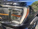 2021 Ford F-150 SuperCrew Cab 4WD Pickup for sale #F64137D - photo 10