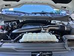 2023 Ford F-150 SuperCrew Cab 4WD Pickup for sale #F64138D - photo 19