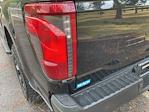 2024 Ford F-150 SuperCrew Cab 4WD Pickup for sale #F64223D - photo 13