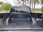 2024 Ford F-150 SuperCrew Cab 4WD Pickup for sale #F64223D - photo 17