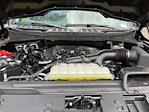 2024 Ford F-150 SuperCrew Cab 4WD Pickup for sale #F64223D - photo 19