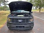 2024 Ford F-150 SuperCrew Cab 4WD Pickup for sale #F64223D - photo 20