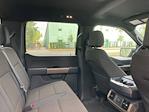 2024 Ford F-150 SuperCrew Cab 4WD Pickup for sale #F64223D - photo 24