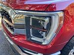2023 Ford F-150 SuperCrew Cab 4WD Pickup for sale #F64316E - photo 10