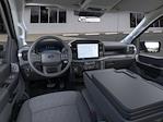 2025 Ford F-150 Regular Cab 4WD Pickup for sale #F64440 - photo 9