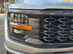 2025 Ford F-150 SuperCrew Cab RWD Pickup for sale #F64443D - photo 9
