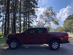 2025 Ford Ranger SuperCrew Cab RWD Pickup for sale #F64455 - photo 6