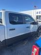 2024 Ford F-150 SuperCrew Cab RWD Pickup for sale #F64486D - photo 8