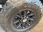 2022 Ford F-350 Crew Cab SRW 4WD Pickup for sale #F64520D - photo 16