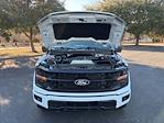Used 2024 Ford F-150 XLT SuperCrew Cab for sale #F64681E - photo 19