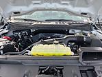 2026 Ford F-150 SuperCrew Cab 4WD Pickup for sale #F64803 - photo 19